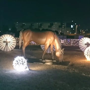 東京メガイルミに投稿された画像（2022/2/27）