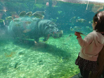 天王寺動物園に投稿された画像（2022/2/27）