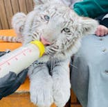 しろとり動物園に投稿された画像（2022/2/28）