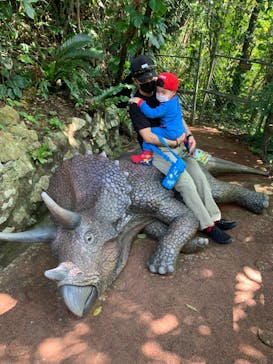 御菓子御殿　名護店　やんばる亜熱帯の森DINO恐竜PARKに投稿された画像（2022/2/27）