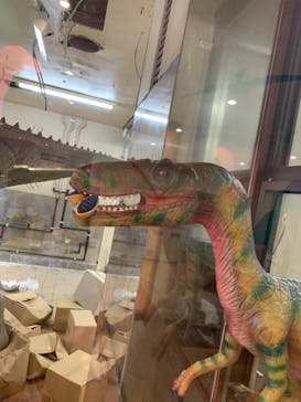 御菓子御殿　名護店　やんばる亜熱帯の森DINO恐竜PARKに投稿された画像（2022/2/27）