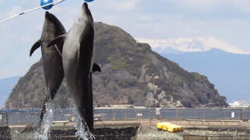 伊豆・三津シーパラダイスに投稿された画像（2022/2/28）