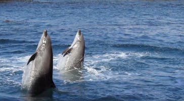 伊豆・三津シーパラダイスに投稿された画像（2022/2/28）