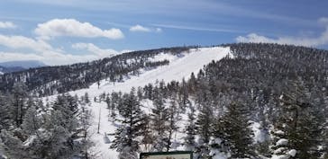 奥志賀高原スキー場に投稿された画像（2022/2/28）