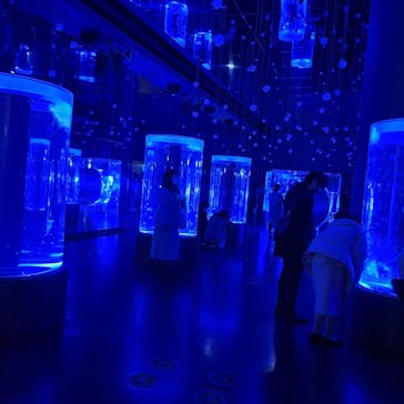 マクセル アクアパーク品川に投稿された画像（2022/2/28）