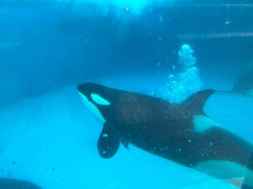 鴨川シーワールドに投稿された画像（2022/2/28）