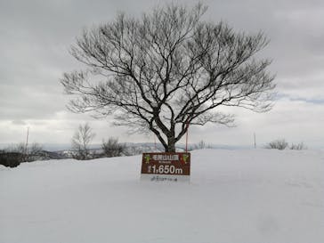 野沢温泉スキー場に投稿された画像（2022/2/28）