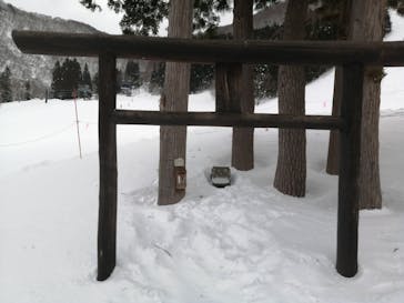 野沢温泉スキー場に投稿された画像（2022/2/28）