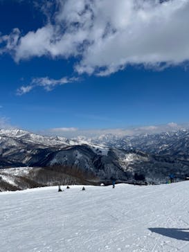 白馬八方尾根スキー場に投稿された画像（2022/2/28）