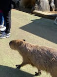 伊豆シャボテン動物公園に投稿された画像（2022/2/28）