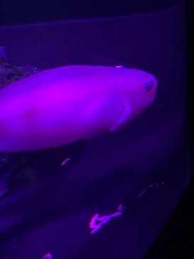 サンシャイン水族館に投稿された画像（2022/2/28）