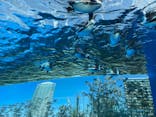 サンシャイン水族館に投稿された画像（2022/2/28）