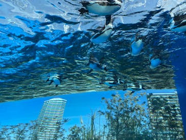 サンシャイン水族館に投稿された画像（2022/2/28）