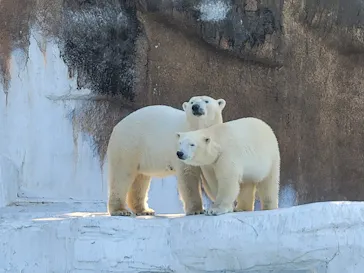 天王寺動物園に投稿された画像（2022/2/28）