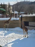 旭川市旭山動物園に投稿された画像（2022/2/28）