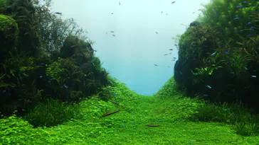 すみだ水族館に投稿された画像（2022/2/28）