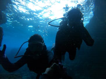 DIVING-SHOP SUNSに投稿された画像（2022/2/28）