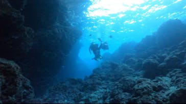 DIVING-SHOP SUNSに投稿された画像（2022/2/28）