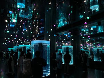 マクセル アクアパーク品川に投稿された画像（2022/2/28）