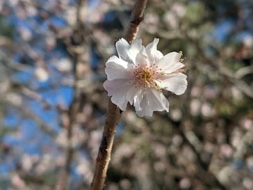 名古屋港水族館に投稿された画像（2022/2/28）