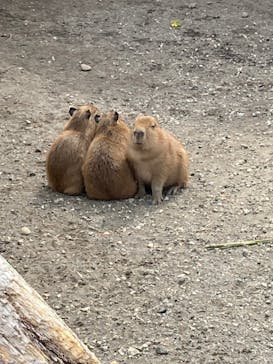 アロハガーデンたてやまに投稿された画像（2022/2/28）