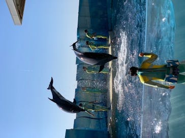 新江ノ島水族館に投稿された画像（2022/2/28）