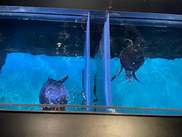 すみだ水族館に投稿された画像（2022/2/28）