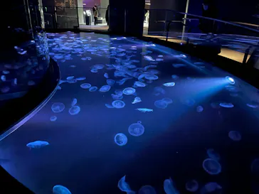 すみだ水族館に投稿された画像（2022/2/28）