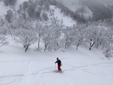 つがいけマウンテンリゾートに投稿された画像（2022/2/28）