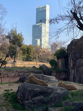 天王寺動物園に投稿された画像（2022/2/28）