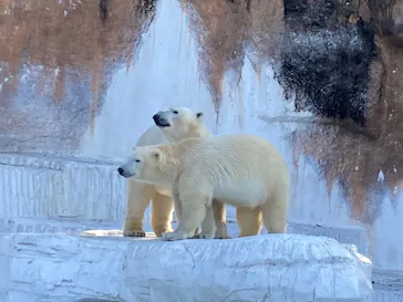 天王寺動物園に投稿された画像（2022/2/28）