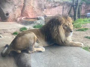 天王寺動物園に投稿された画像（2022/2/28）