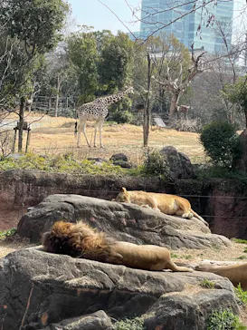天王寺動物園に投稿された画像（2022/2/28）