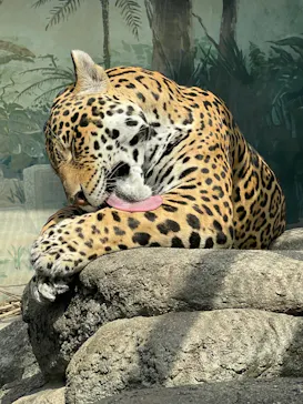 天王寺動物園に投稿された画像（2022/2/28）