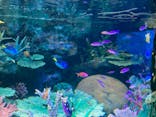 サンシャイン水族館に投稿された画像（2022/2/28）