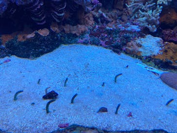 サンシャイン水族館に投稿された画像（2022/2/28）