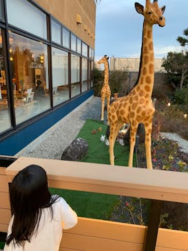 SPA専 太平のゆに投稿された画像（2022/3/1）