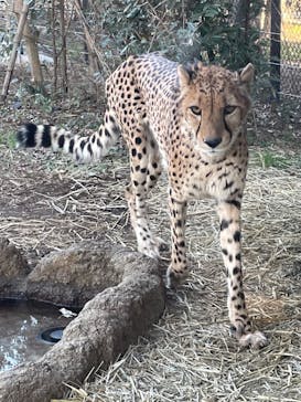 よこはま動物園ズーラシアに投稿された画像（2022/3/1）