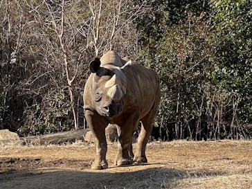 よこはま動物園ズーラシアに投稿された画像（2022/3/1）
