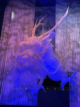 滋賀県立琵琶湖博物館に投稿された画像（2022/3/1）