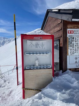 白馬八方尾根スキー場に投稿された画像（2022/3/1）