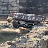 伊豆シャボテン動物公園に投稿された画像（2022/3/1）