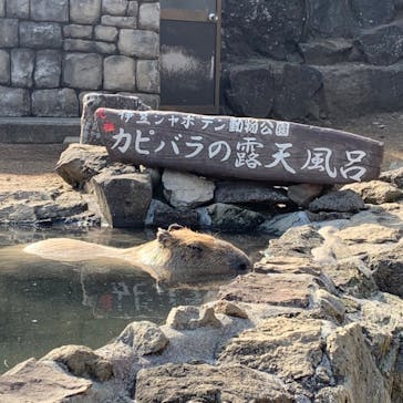 伊豆シャボテン動物公園に投稿された画像（2022/3/1）