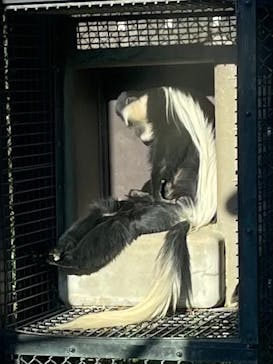 よこはま動物園ズーラシアに投稿された画像（2022/3/1）