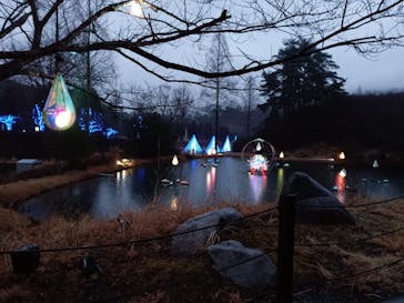 KYOTO ILLUMINATION SYNESTHESIA HILLS るり渓温泉に投稿された画像（2022/3/1）