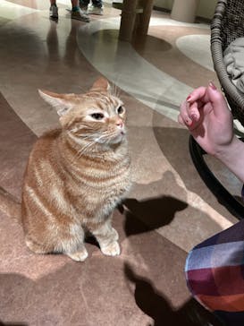 Moff animal world MARK IS みなとみらい店に投稿された画像（2022/3/1）