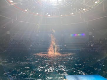 マクセル アクアパーク品川に投稿された画像（2022/3/1）