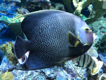 サンシャイン水族館に投稿された画像（2022/3/1）