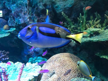 サンシャイン水族館に投稿された画像（2022/3/1）