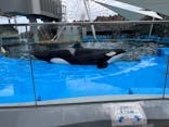 名古屋港水族館に投稿された画像（2022/3/2）